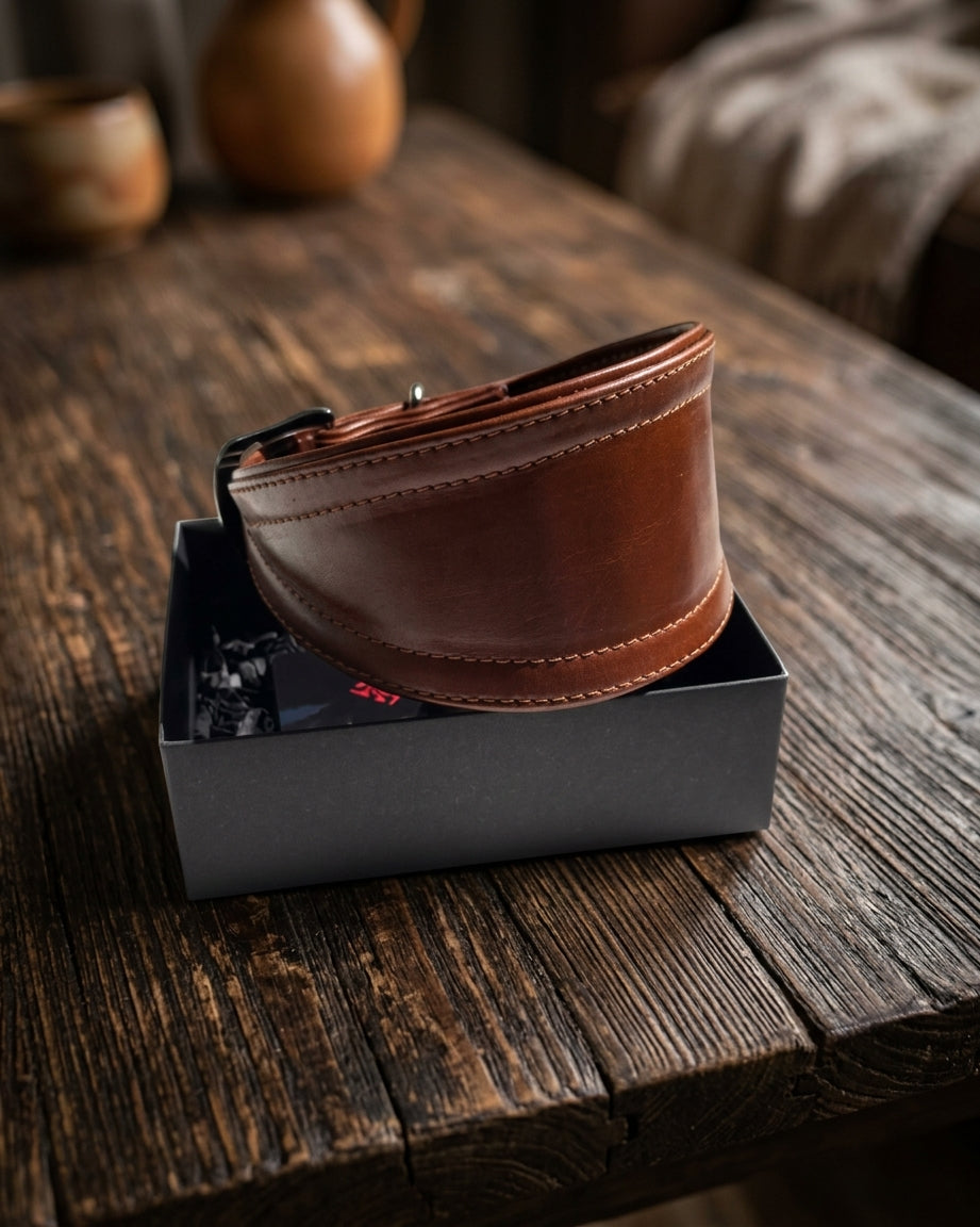 Umber Sirocco Dog Collar