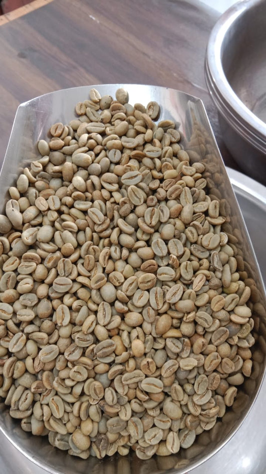 Café Gayo de grado 1: especialidad premium de Aceh, Indonesia 1 kg de Arábica