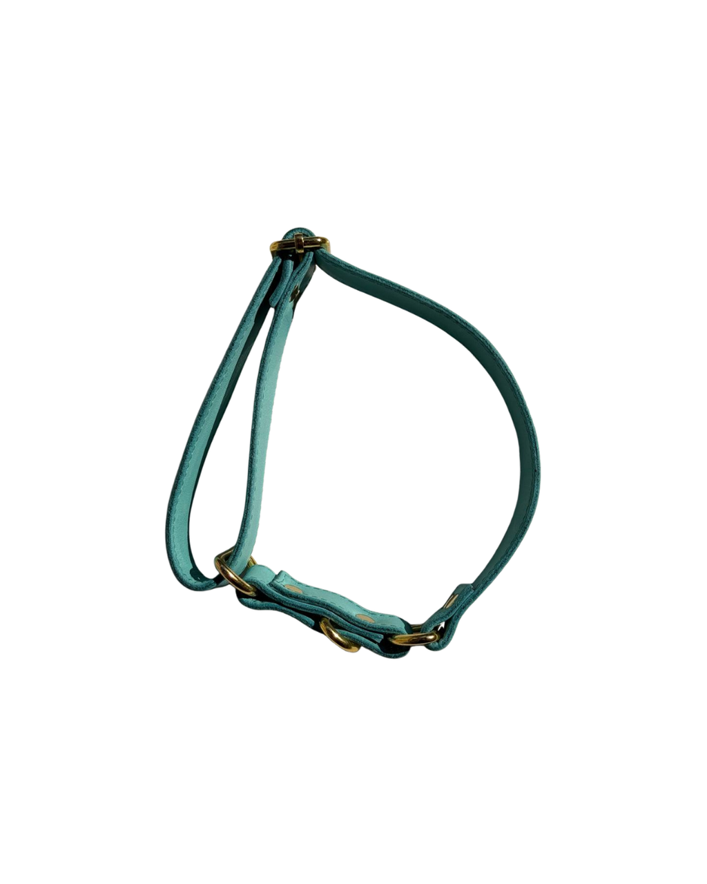 ICON Turquoise