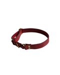 ICON Red