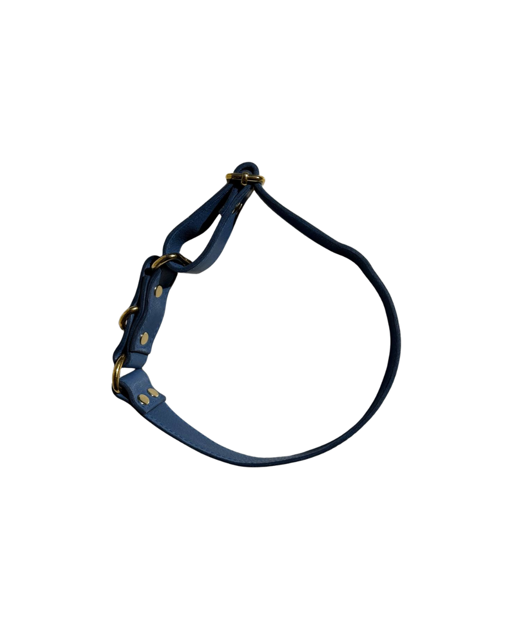 ICON Blue