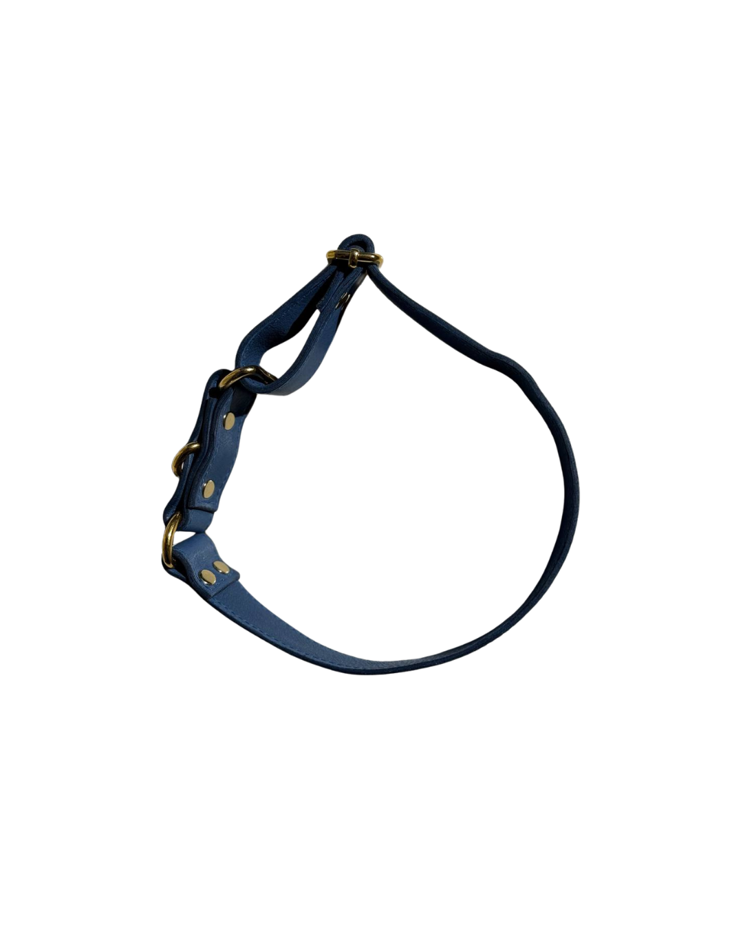 ICON Blue