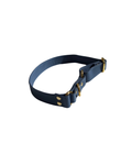 ICON Blue
