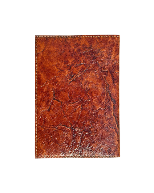 Amber Passport Cover