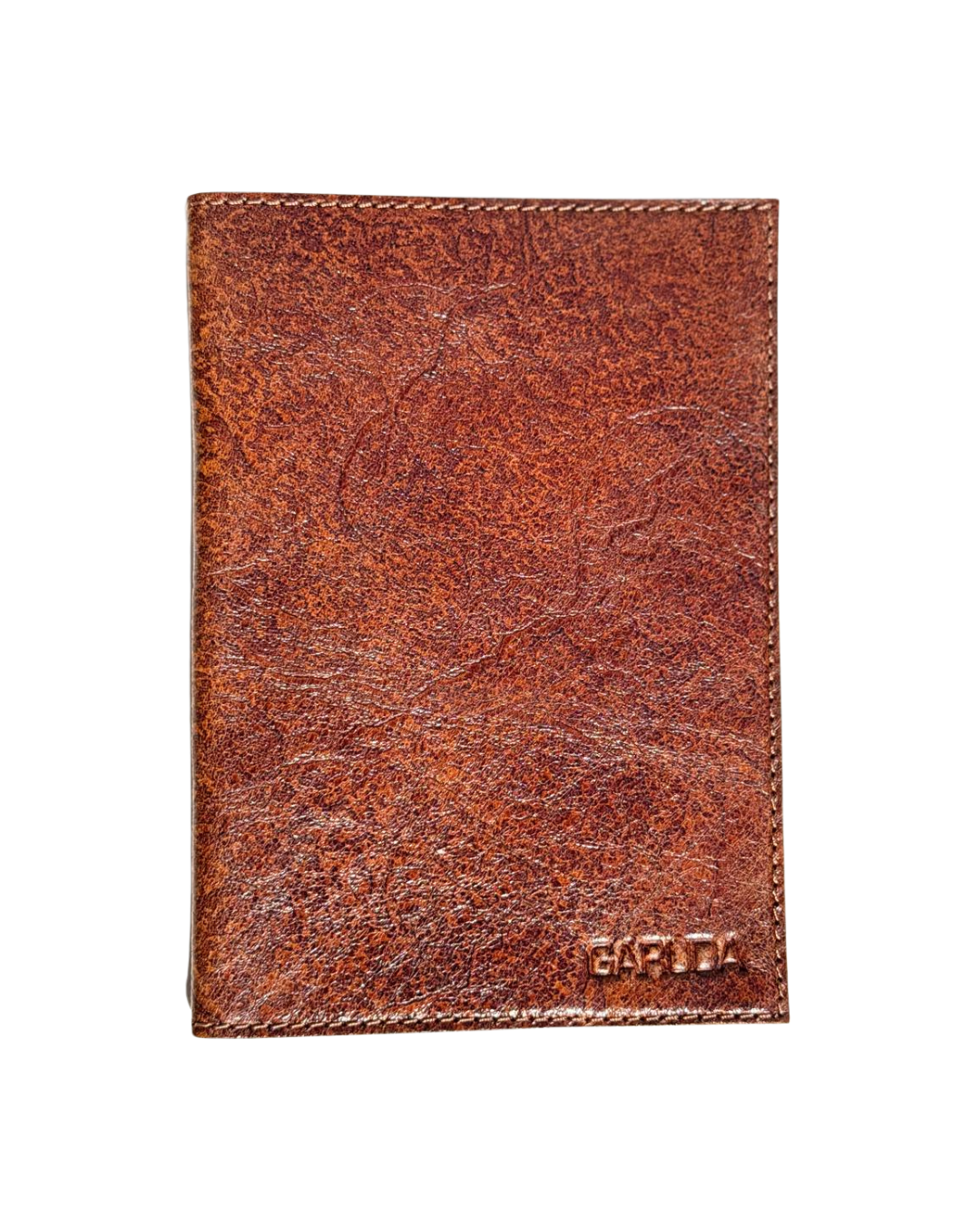 Terra Passport Cover