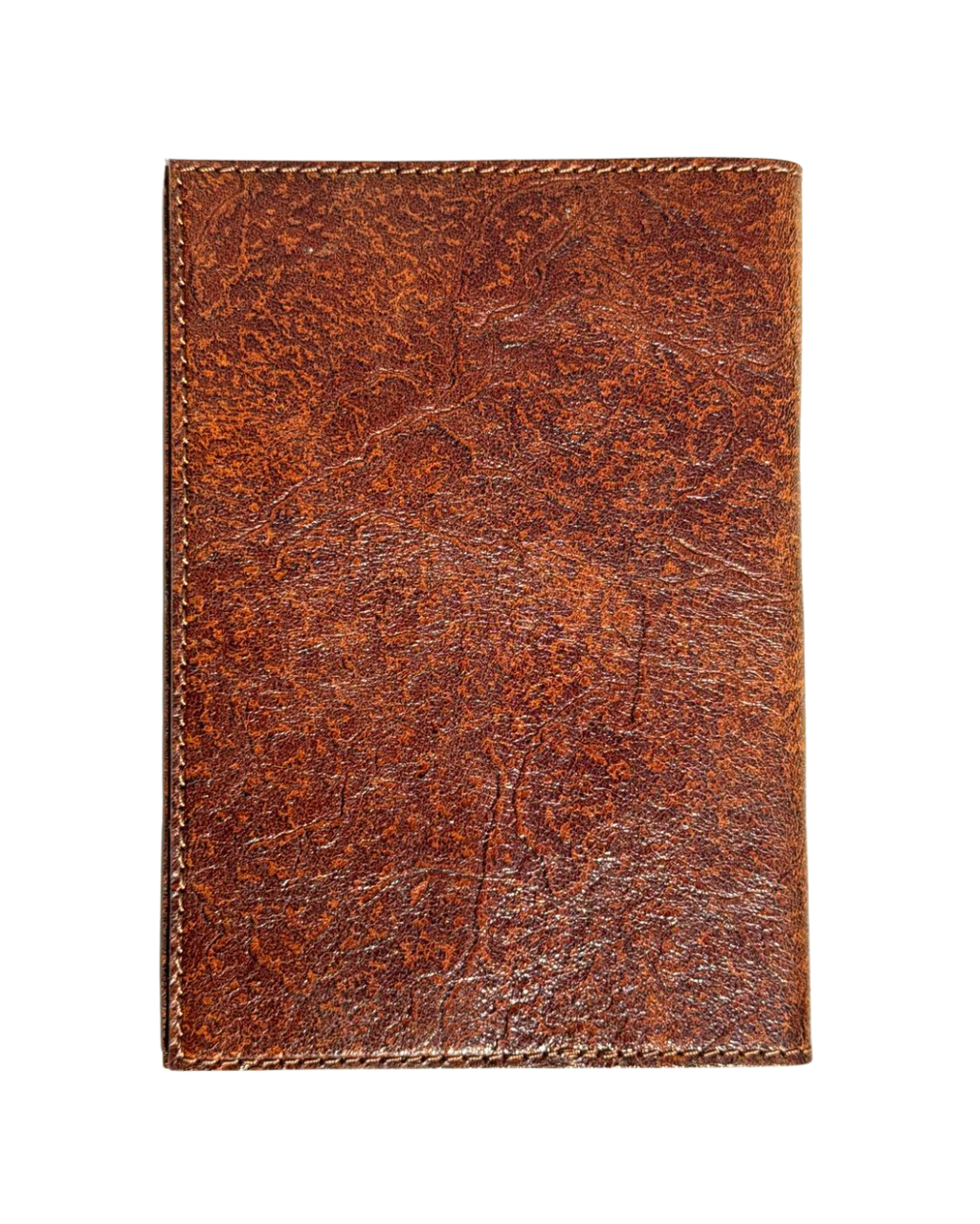 Terra Passport Cover