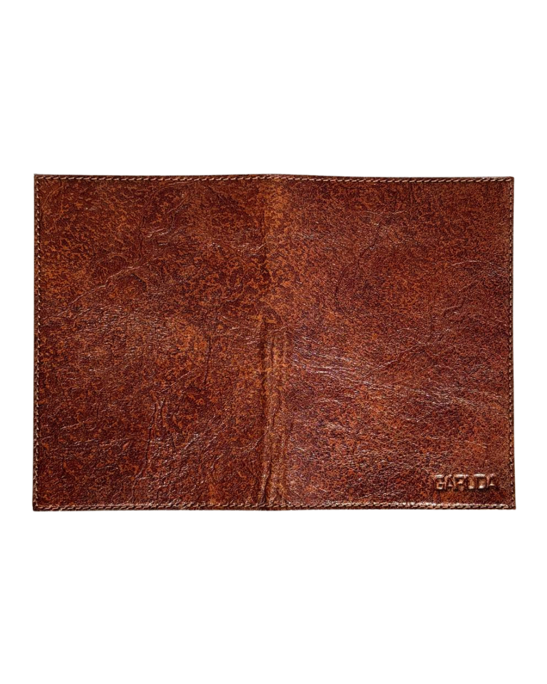 Terra Passport Cover