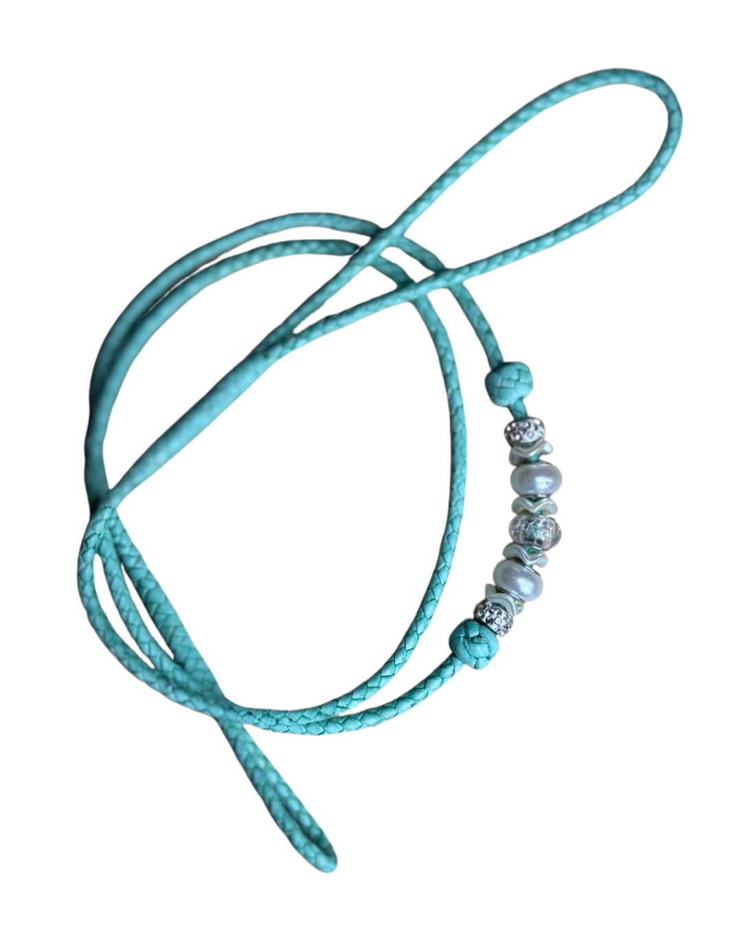 Aqua Lumi Leashe