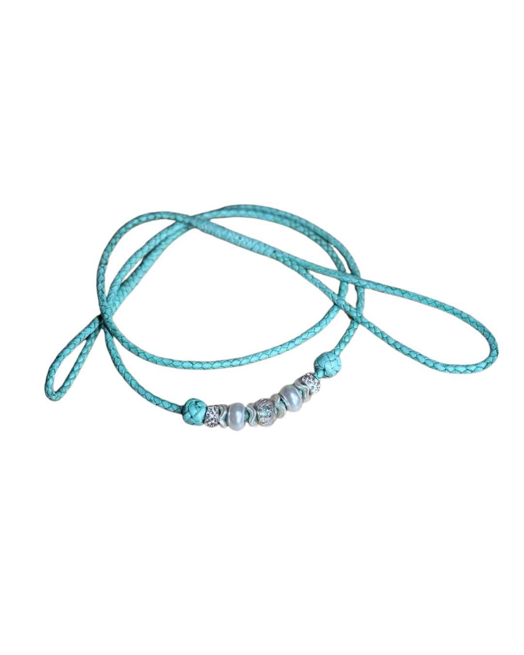 Aqua Lumi Leashe