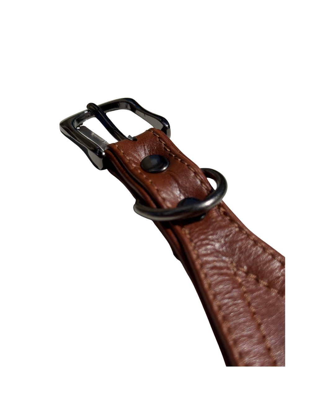 Umber Sirocco Dog Collar