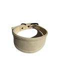 Ivory Dog Collar