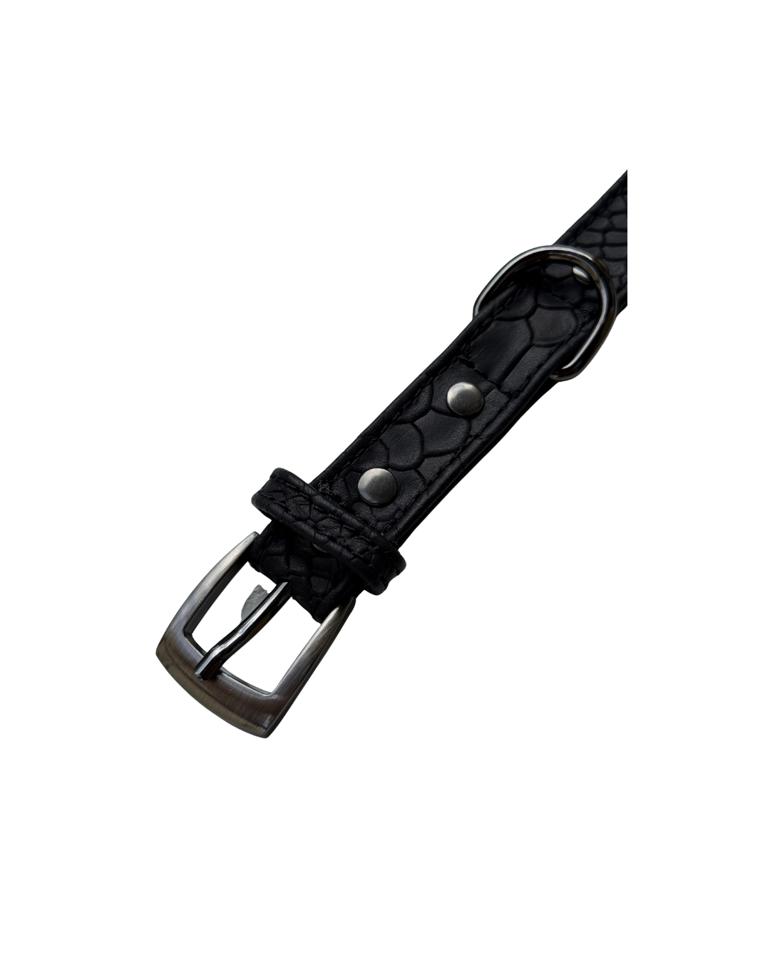 Black Collar